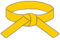 Cintura gialla Lean Six Sigma – Certificazione intermedia