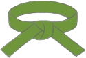 Cintura verde Lean Six Sigma – Certificazione avanzata per il miglioramento dei processi